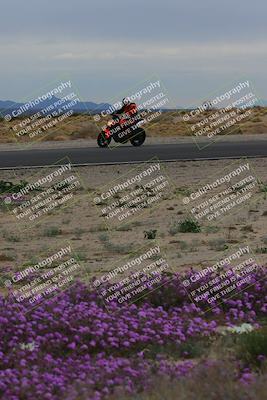 media/Jan-14-2023-SoCal Trackdays (Sat) [[497694156f]]/Turn 14 Exit Bloomig (145pm)/